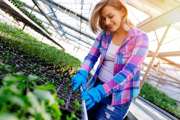 Serada çalışan ve güzel çiçekler zevk çekici genç kadın