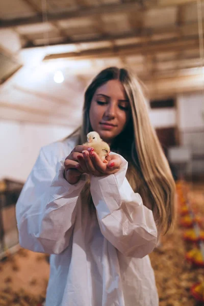 Jovem Menina Segurando Pinto — Fotografia de Stock