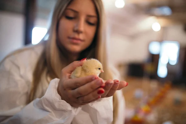 Chica Joven Sosteniendo Pollito — Foto de Stock