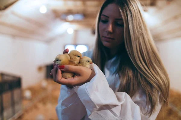 Ung Flicka Som Håller Kyckling — Stockfoto