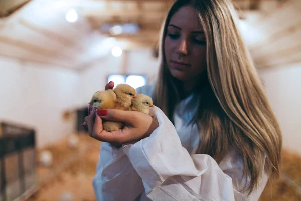 Chica Joven Sosteniendo Pollito — Foto de Stock