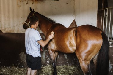 Genç adam at istikrarlı iyi bakım taking