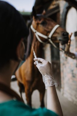 Kadın veteriner at istikrarlı bir enjeksiyon sağlar