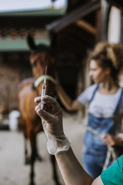 Κτηνίατρος Γυναίκα Δίνει Μια Ένεση Άλογο Στάβλο — Φωτογραφία Αρχείου