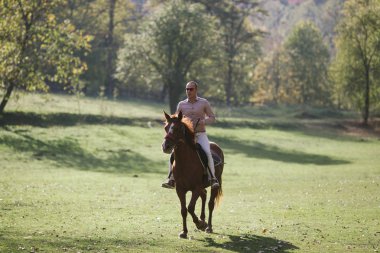 Kahverengi at ile zarif raslantı giyimli adam