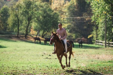 Kahverengi at ile zarif raslantı giyimli adam