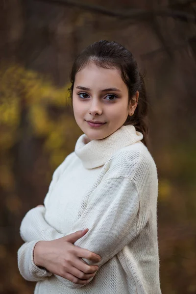 Retrato Bela Menina Adolescente Posando Parque Outono Floresta Luz Natural — Fotografia de Stock