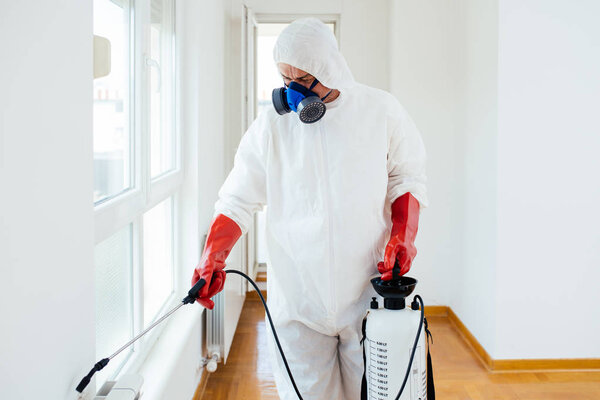 Exterminator in work wear spraying pesticide or insecticide with sprayer 