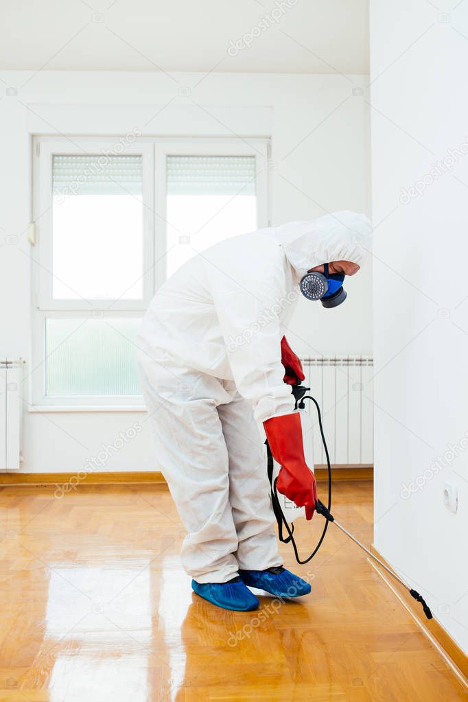 Exterminator in work wear spraying pesticide or insecticide with sprayer 