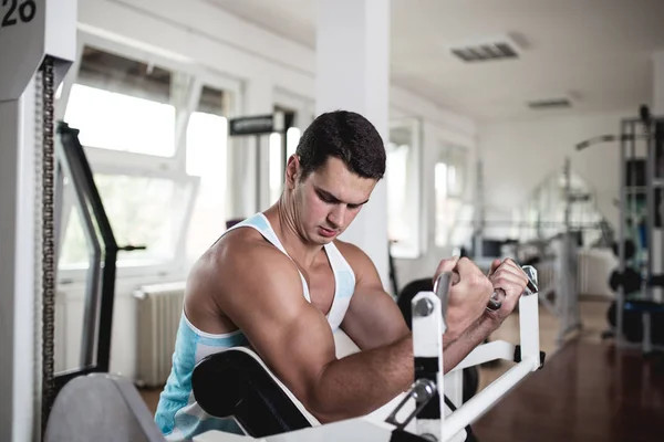 Homem Adulto Atraente Jovem Que Exercita Ginásio Fitness Treinamento Esportivo — Fotografia de Stock