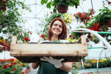 Serada çalışan ve güzel çiçekler zevk Kızıl saçlı genç kadın. Bahçe merkezinde kadın işçisi.