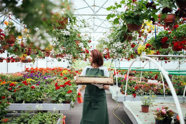 Rossa Giovane Donna Che Lavora Serra Gode Bei Fiori Lavoratrice — Foto Stock