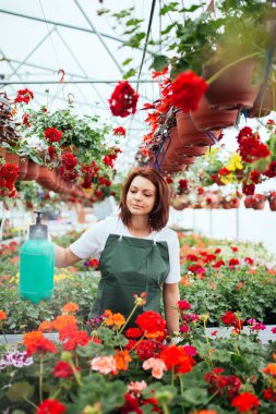Serada çalışan ve güzel çiçekler zevk Kızıl saçlı genç kadın. Bahçe merkezinde kadın işçisi.