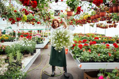 Serada çalışan ve güzel çiçekler zevk Kızıl saçlı genç kadın. Bahçe merkezinde kadın işçisi.