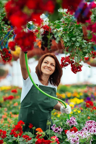 Redhead Young Woman Working Greenhouse Enjoying Beautiful Flowers Female Worker — Stock Photo, Image