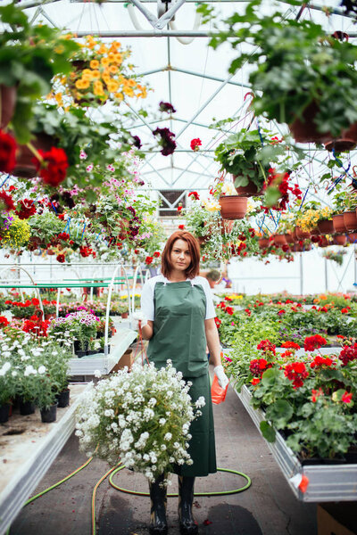 Redhead Young Woman Working Greenhouse Enjoying Beautiful Flowers Female Worker Stock Picture
