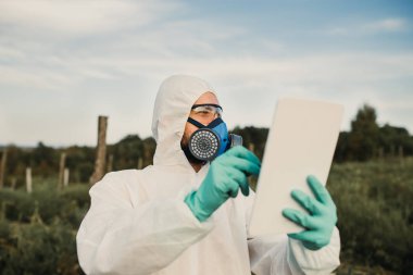 Ot kontrolü. Endüstriyel Tarım araştırması. Koruyucu süitte dijital tableti olan ve alanda ot örnekleri alan bir maske olan adam. Güneşli gün doğal sert ışık. 