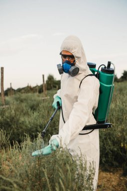 Ot kontrolü. Endüstriyel Tarım teması. İnsan meyve yetiştirme tarlasında toksik pestisitler veya böcek ilaçları püskürterek. Güneşli gün doğal sert ışık. 