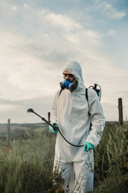 Ot kontrolü. Endüstriyel Tarım teması. İnsan meyve yetiştirme tarlasında toksik pestisitler veya böcek ilaçları püskürterek. Güneşli gün doğal sert ışık. 