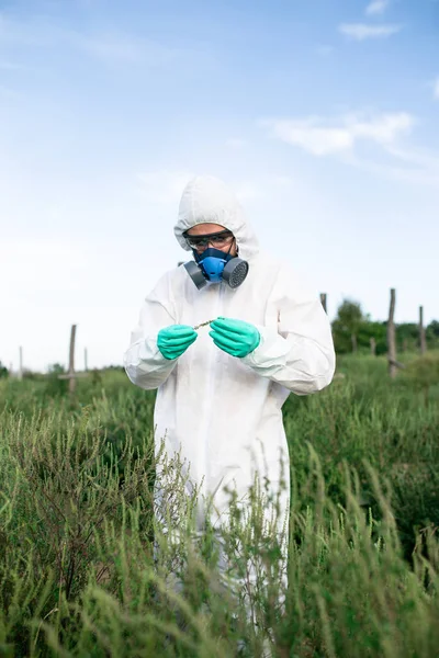 杂草控制 工业农业研究 在防护套房和面具的人在野外采集杂草样本 阳光明媚的自然强光 — 图库照片