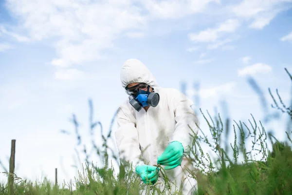 Control Malezas Investigación Agrícola Industrial Hombre Suite Protectora Máscara Tomando — Foto de Stock