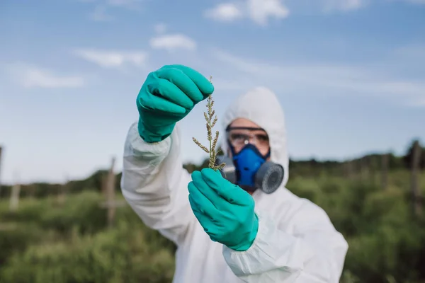 Weed control. Industrial agriculture researching. Man in protective suite and mask taking weed samples in the field. Natural hard light on sunny day.