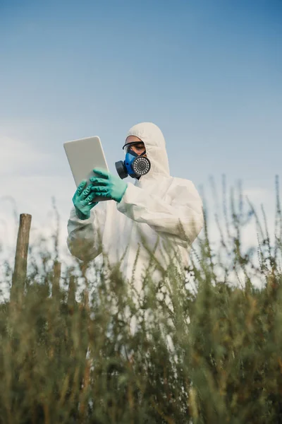 Weed control. Industrial agriculture researching. Man with digital tablet in protective suite and mask taking weed samples in the field. Natural hard light on sunny day.