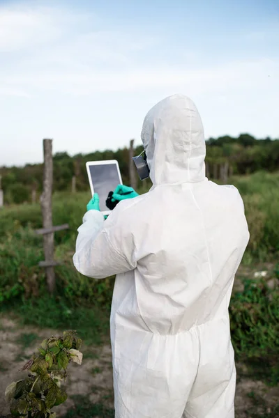 Controlo Ervas Daninhas Agricultura Industrial Pesquisar Homem Com Tablet Digital — Fotografia de Stock