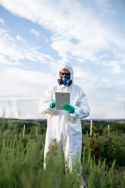 Contrôle Des Mauvaises Herbes Recherche Agriculture Industrielle Homme Avec Tablette — Photo