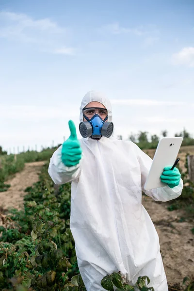 Weed control. Industrial agriculture researching. Man with digital tablet in protective suite and mask taking weed samples in the field. Natural hard light on sunny day.