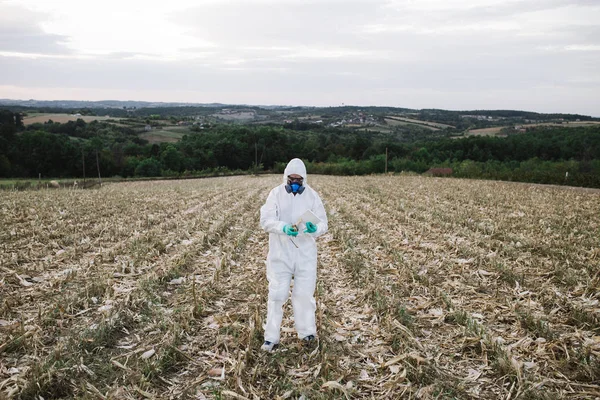 Weed control. Industrial agriculture researching. Man with digital tablet in protective suite and mask taking weed samples in the field. Natural hard light on sunny day.