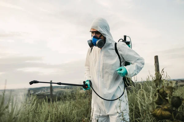 雑草管理 産業農業のテーマ 果物栽培農園に有毒農薬や殺虫剤を散布する男 晴れた日の自然のハードライト — ストック写真