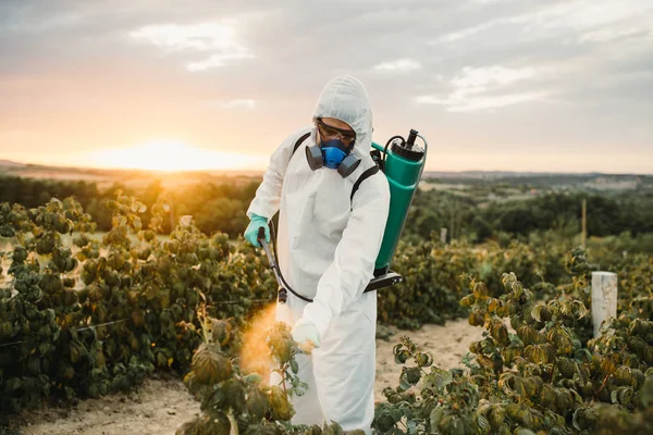 Controlo Ervas Daninhas Tema Agricultura Industrial Homem Pulverizando Pesticidas Tóxicos — Fotografia de Stock