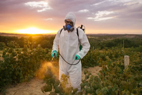 Control Malezas Tema Agricultura Industrial Hombre Rociando Pesticidas Tóxicos Insecticidas — Foto de Stock