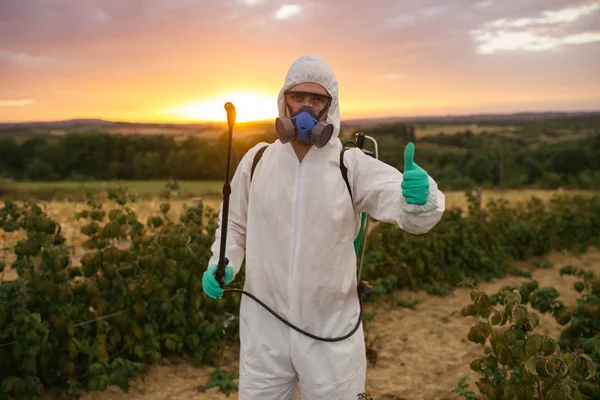 Weed control. Industrial agriculture theme. Man spraying toxic pesticides or insecticides on fruit growing plantation. Beautiful sunset in background.