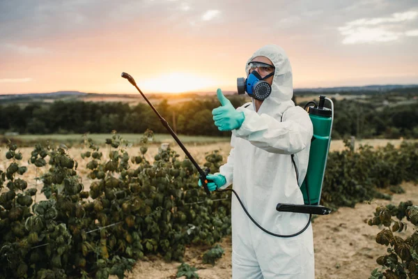 Kontrola Plevele Průmyslový Zemědělský Motiv Člověk Stříkání Toxických Pesticidů Nebo — Stock fotografie