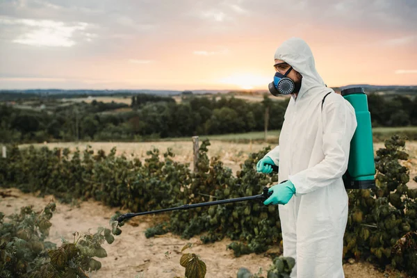 Controlo Ervas Daninhas Tema Agricultura Industrial Homem Pulverizando Pesticidas Tóxicos — Fotografia de Stock