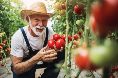 Serada çalışan mutlu ve gülümseyen son sınıf öğrencisi. Poz veriyor ve kameraya bakıyor..