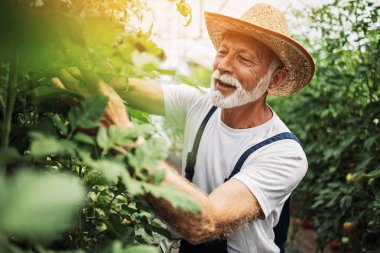 Mutlu ve gülümseyen son sınıf öğrencisi serada çalışıyor..