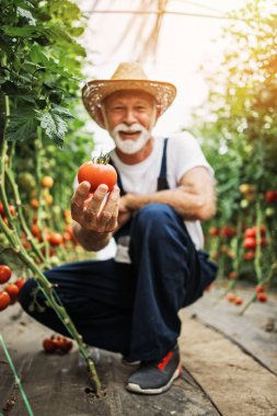 Serada çalışan mutlu ve gülümseyen son sınıf öğrencisi. Poz veriyor ve kameraya bakıyor..