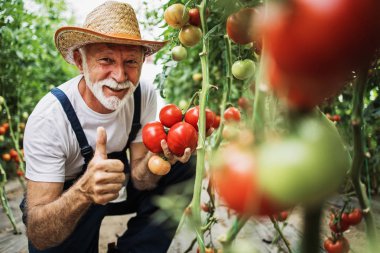 Serada çalışan mutlu ve gülümseyen son sınıf öğrencisi. Poz veriyor ve kameraya bakıyor..
