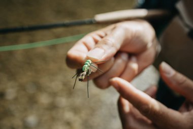 Balıkçılık için sinek bağlayan kıdemli balıkçıların yakın çekimleri. Balık tutma konsepti. 