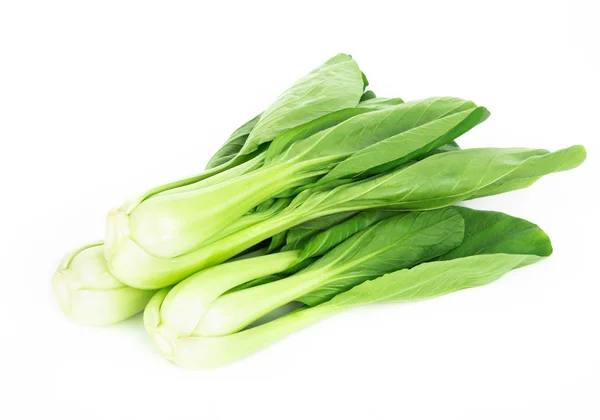 Fresco Bok Choy Vegetale Isolato Sfondo Bianco Concetto Cibo Sano — Foto Stock