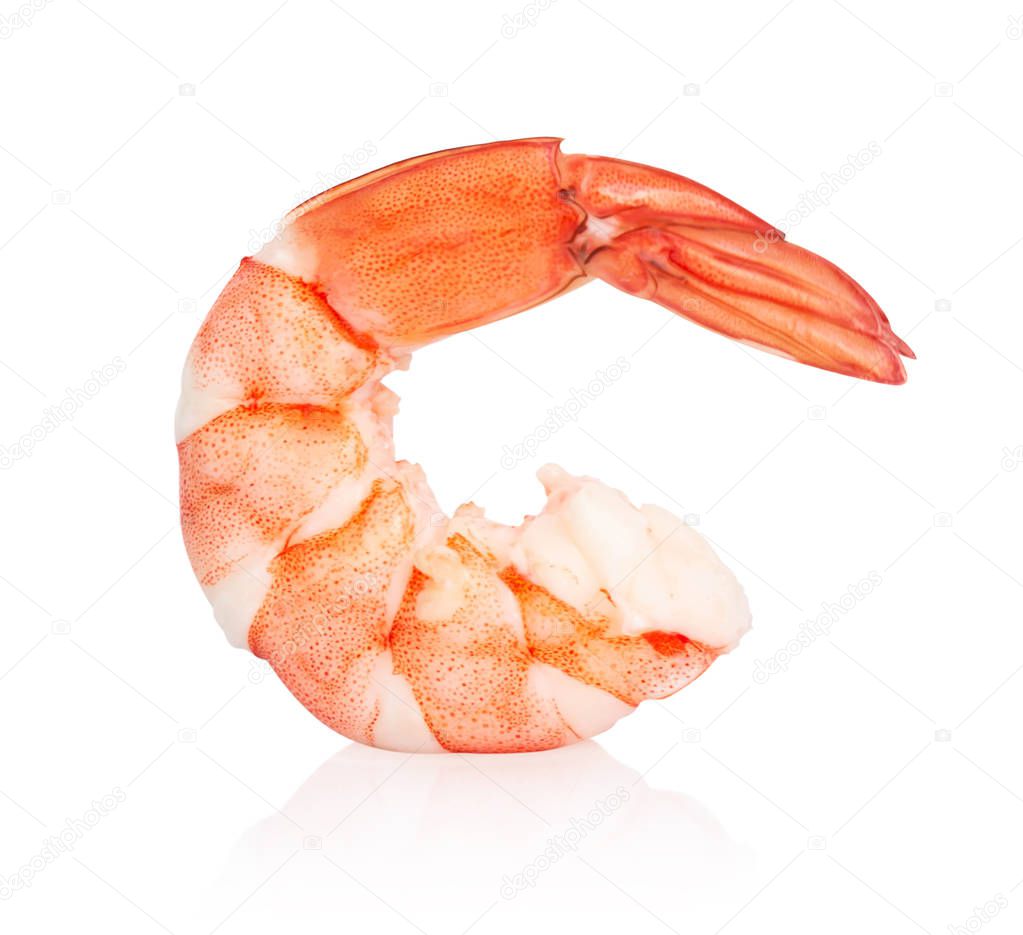 Shrimp isolated on white background, raw food for make cooking