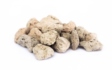 Taş ya da kaktüs bitki için beyaz arka plan üzerinde volkanik kayaların volkanik