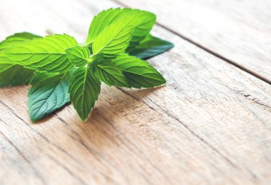 Ahşap masa arka plan, ot ve tıbbi kavramı, seçici odak portre taze nane