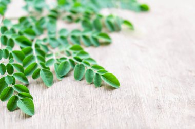 Şube, ot ve tıbbi kavramı closeup üstten görünüm moringa bırakır