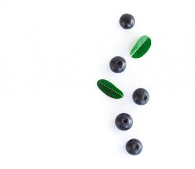 Beyaz arka planda izole edilmiş taze yaban mersini.