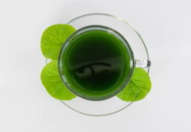 Gotu kola suyu, Asya peni otu, beyaz arka planda yeşil yapraklı Hint penisi otu, bitki ve tıbbi konsept.