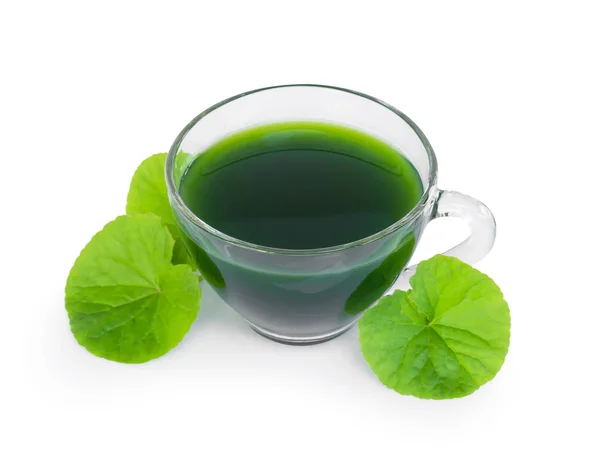 Gotu kola juice drink, Asiatic pennywort, Indian pennyworth with green leaf isolated on white background, herb and medical concept — Stock Photo, Image